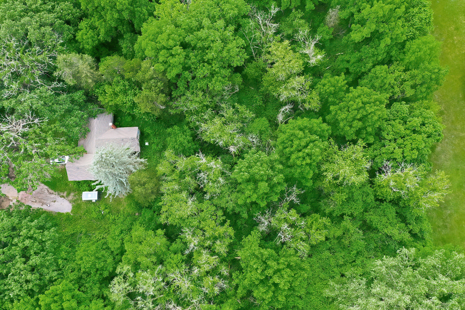 4912 North Johnsburg Road Johnsburg, IL 60051 - Photo 11 of 12