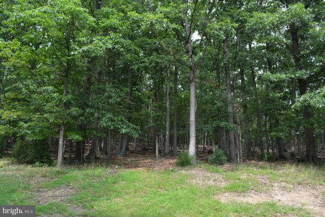 120 Richmond Road Front Royal, VA 22630 - Photo 2 of 30 Exterior (General)