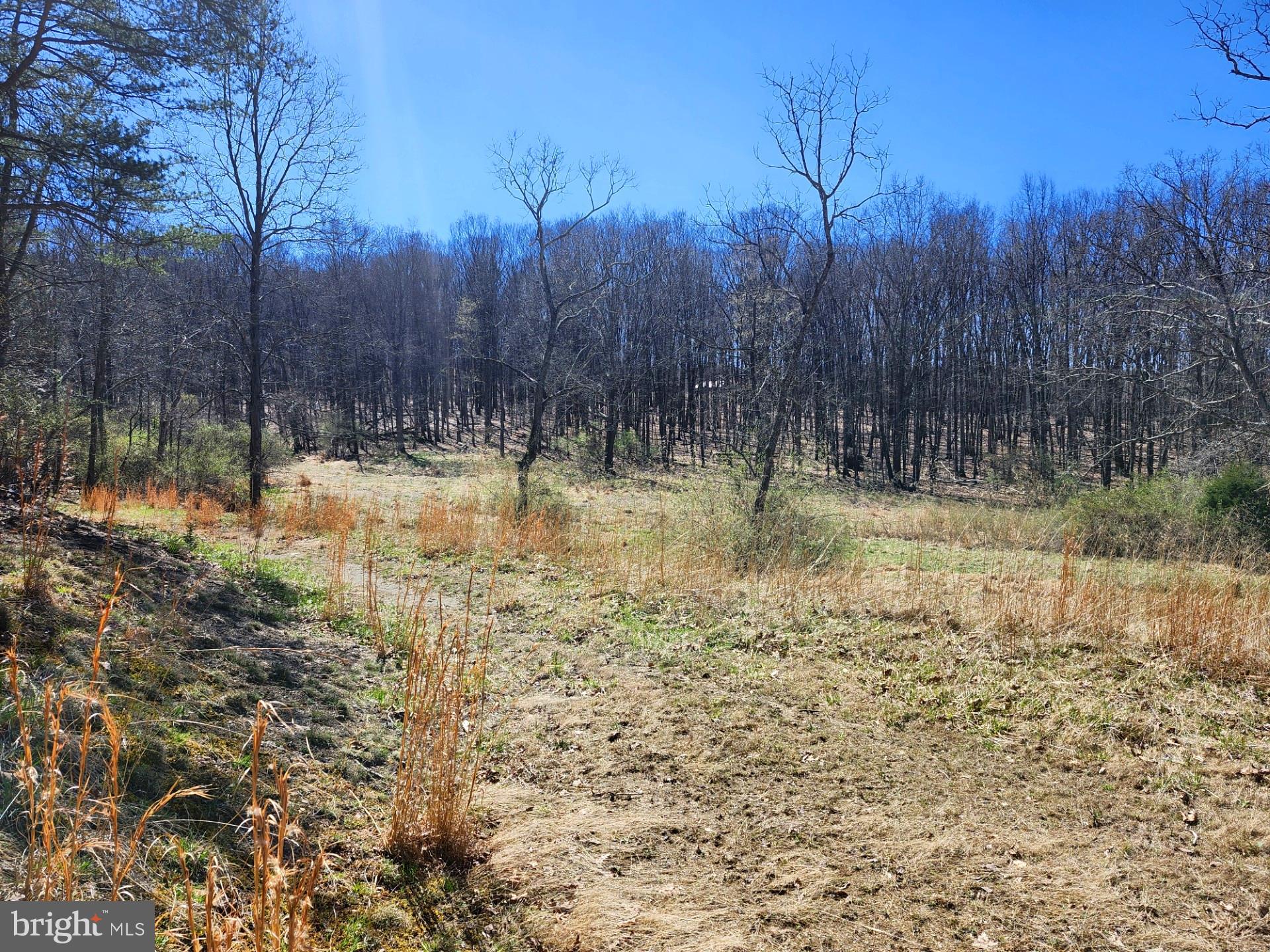 A J Kelley Road Old Fields, WV 26845 - Photo 13 of 65