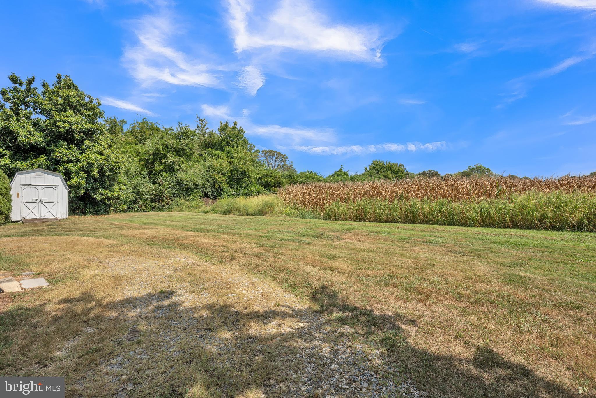 24730 Colton Point Road Clements, MD 20624 - Photo 15 of 15 Backyard