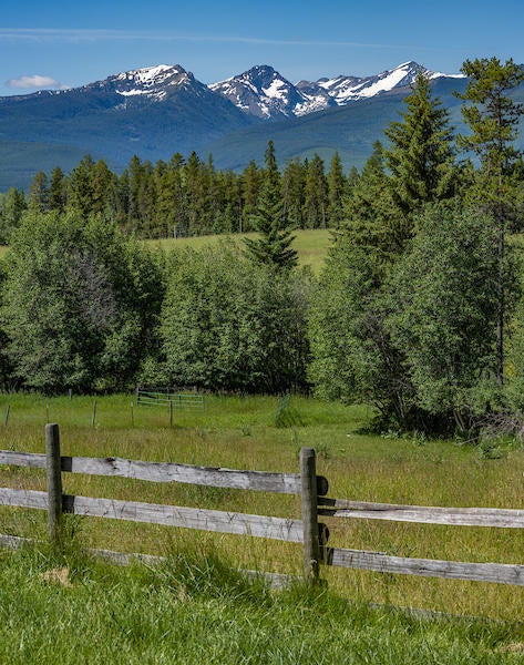 2705 Rumble Creek Road Condon, MT 59826 - Photo 22 of 25 20200713 Z7DSC_1032-Pano