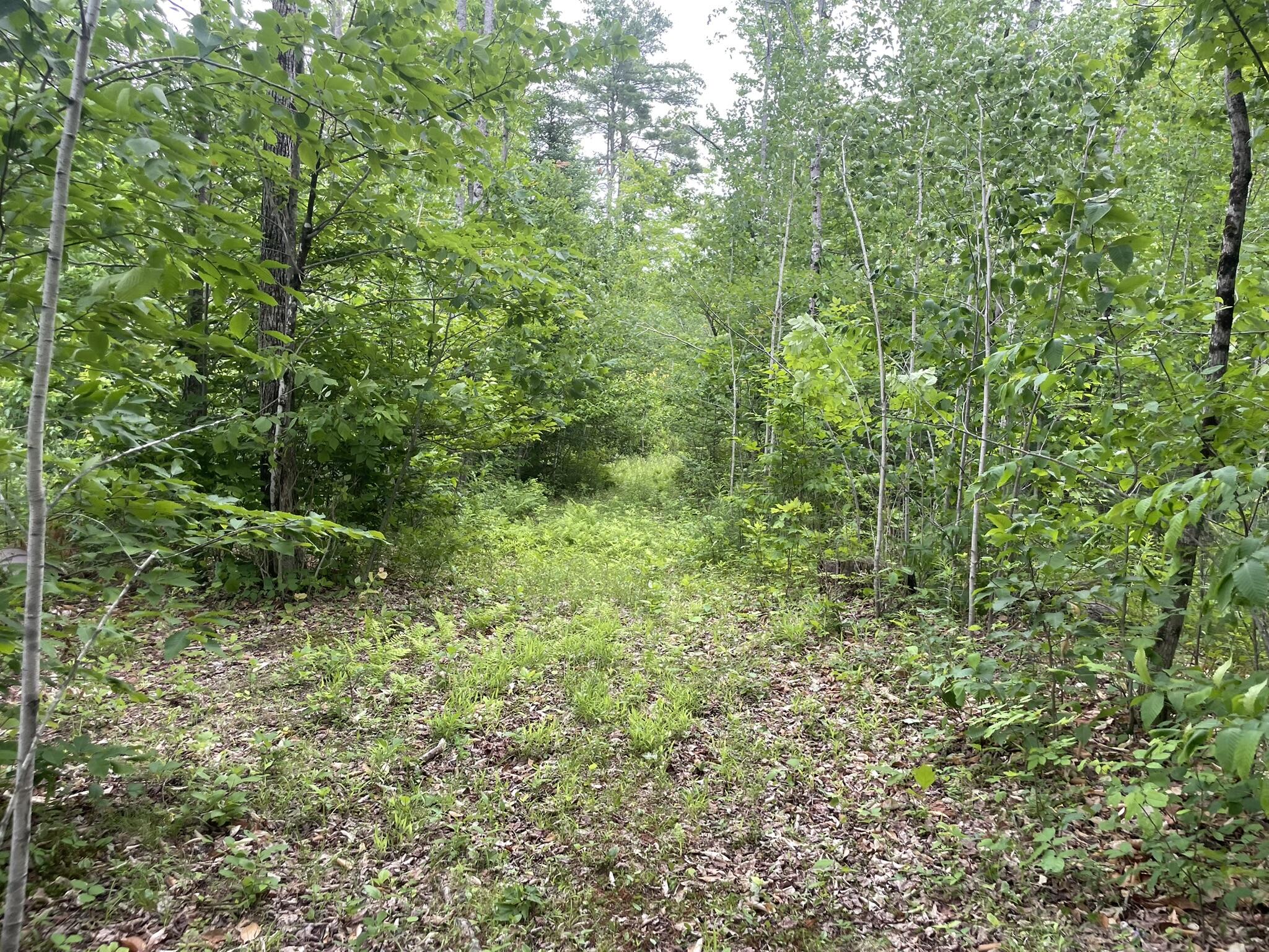 19 Swan Road New Sharon, ME 04955 - Photo 112 of 124 IMG_6315