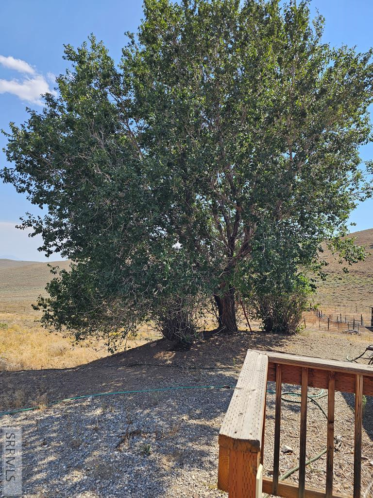 1981 Blizzard Mountain Road Arco, ID 83213 - Photo 18 of 38