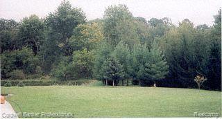 7219 Dutch Road Goodrich, MI 48438 - Photo 3 of 10 Gorgeous setting 1.35 acres