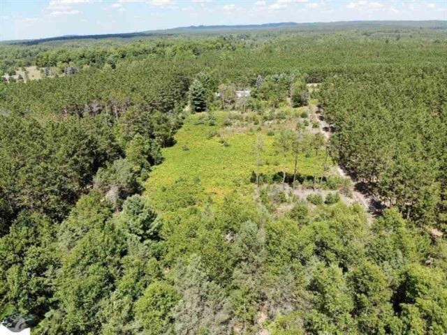 5865 West 50 Road Cadillac, MI 49601 - Photo 33 of 45 1878688-32