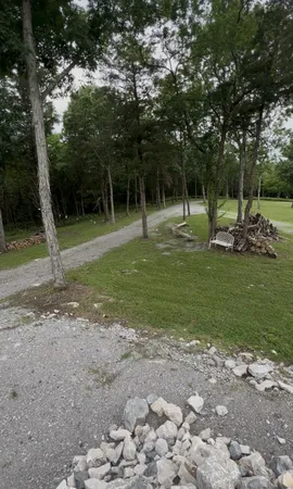 a view of a park with large trees