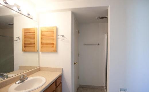 794 Castle Valley Boulevard, Unit H New Castle, CO 81647 - Photo 6 of 8 a bathroom with a sink and a mirror