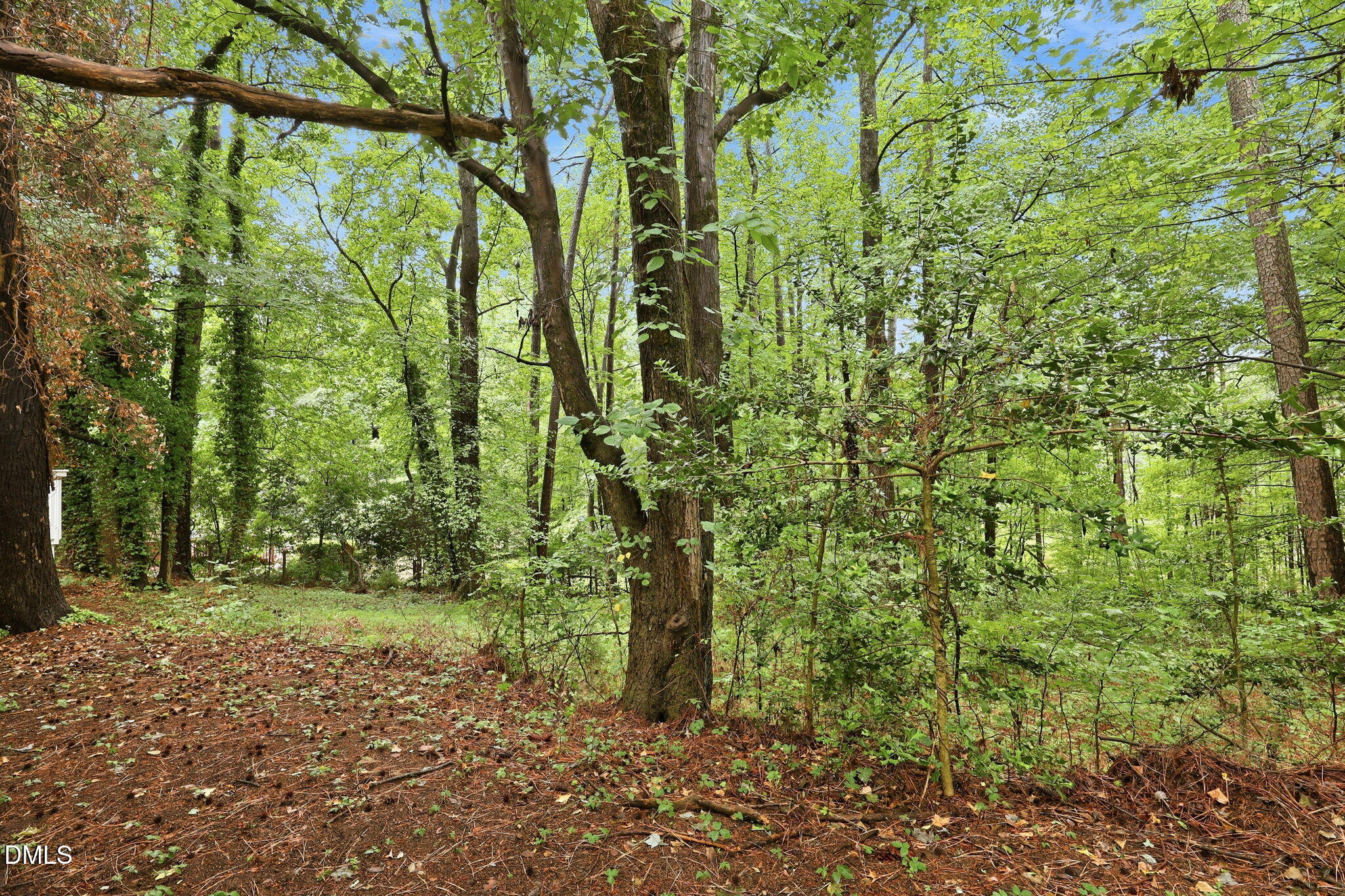 11413 Norwood Road Raleigh, NC 27613 - Photo 8 of 32