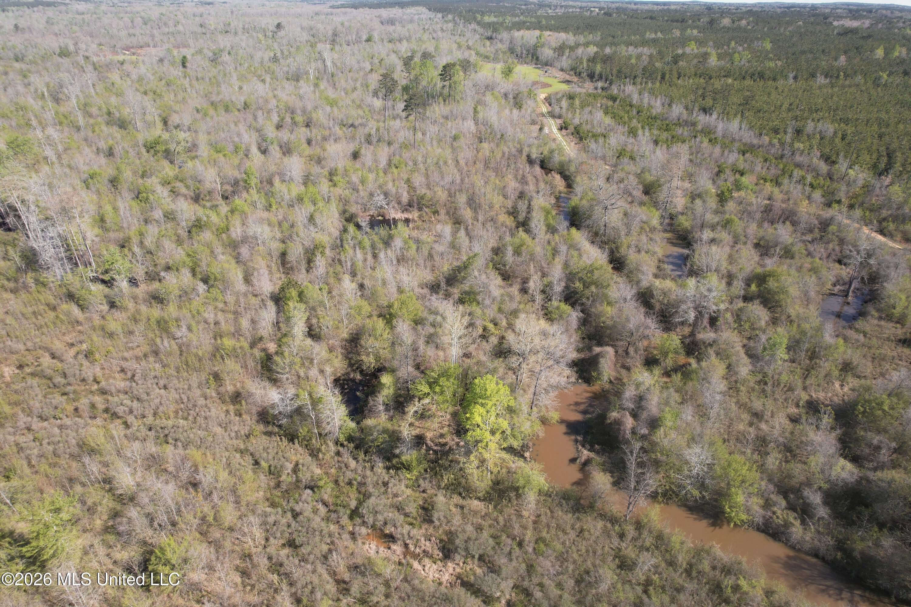1711 Highway 82 Eupora, MS 39744 - Photo 13 of 76 DJI_0202