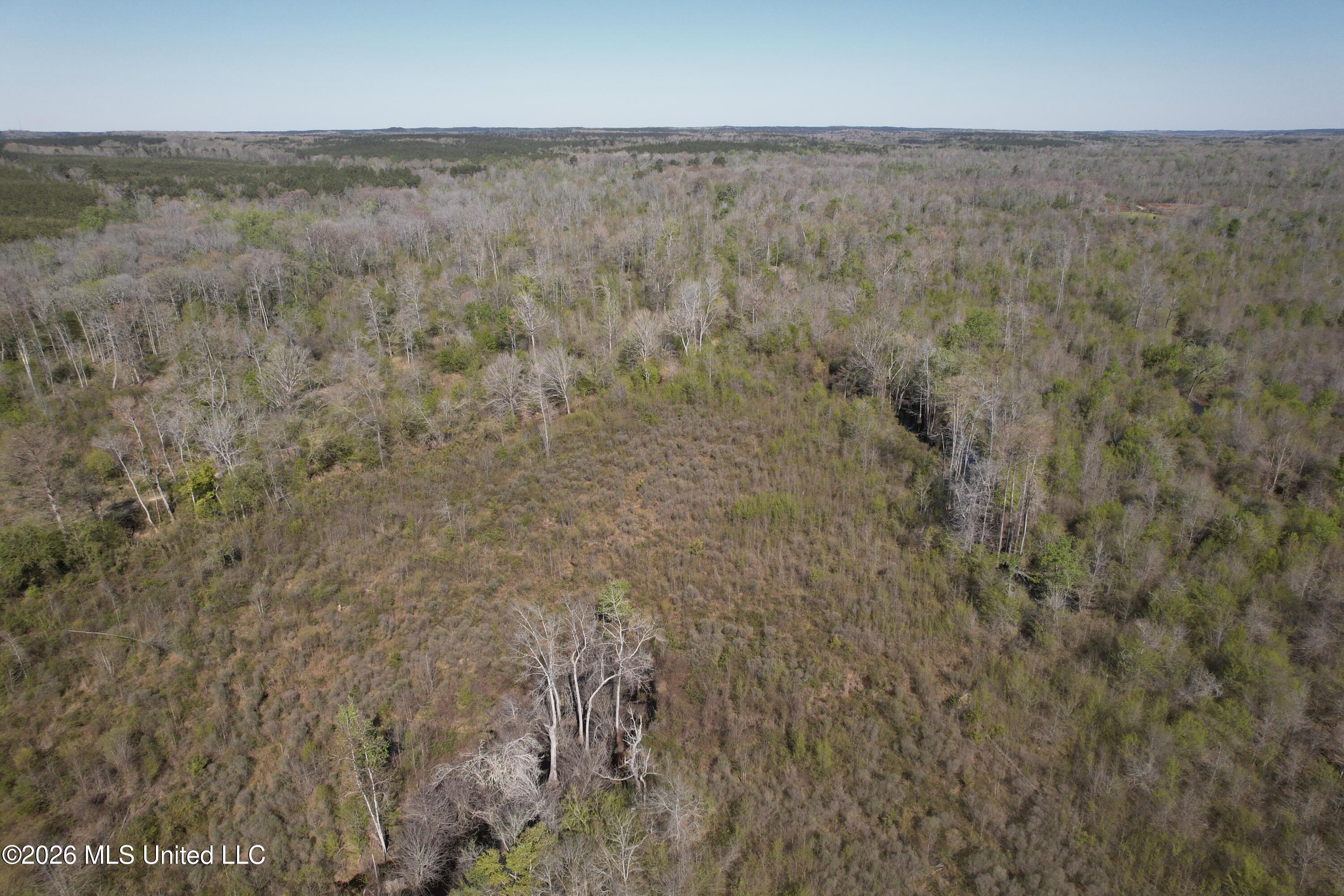 1711 Highway 82 Eupora, MS 39744 - Photo 14 of 76 DJI_0203