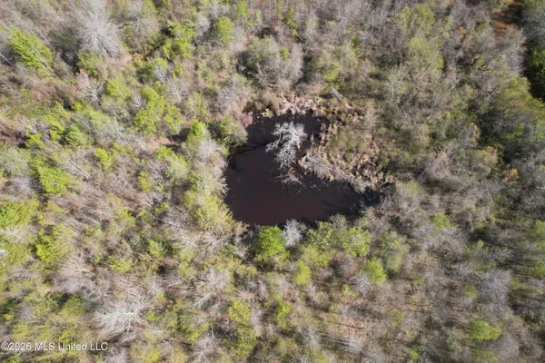 $1,750,000 | 1711 Highway 82, Eupora, MS 39744