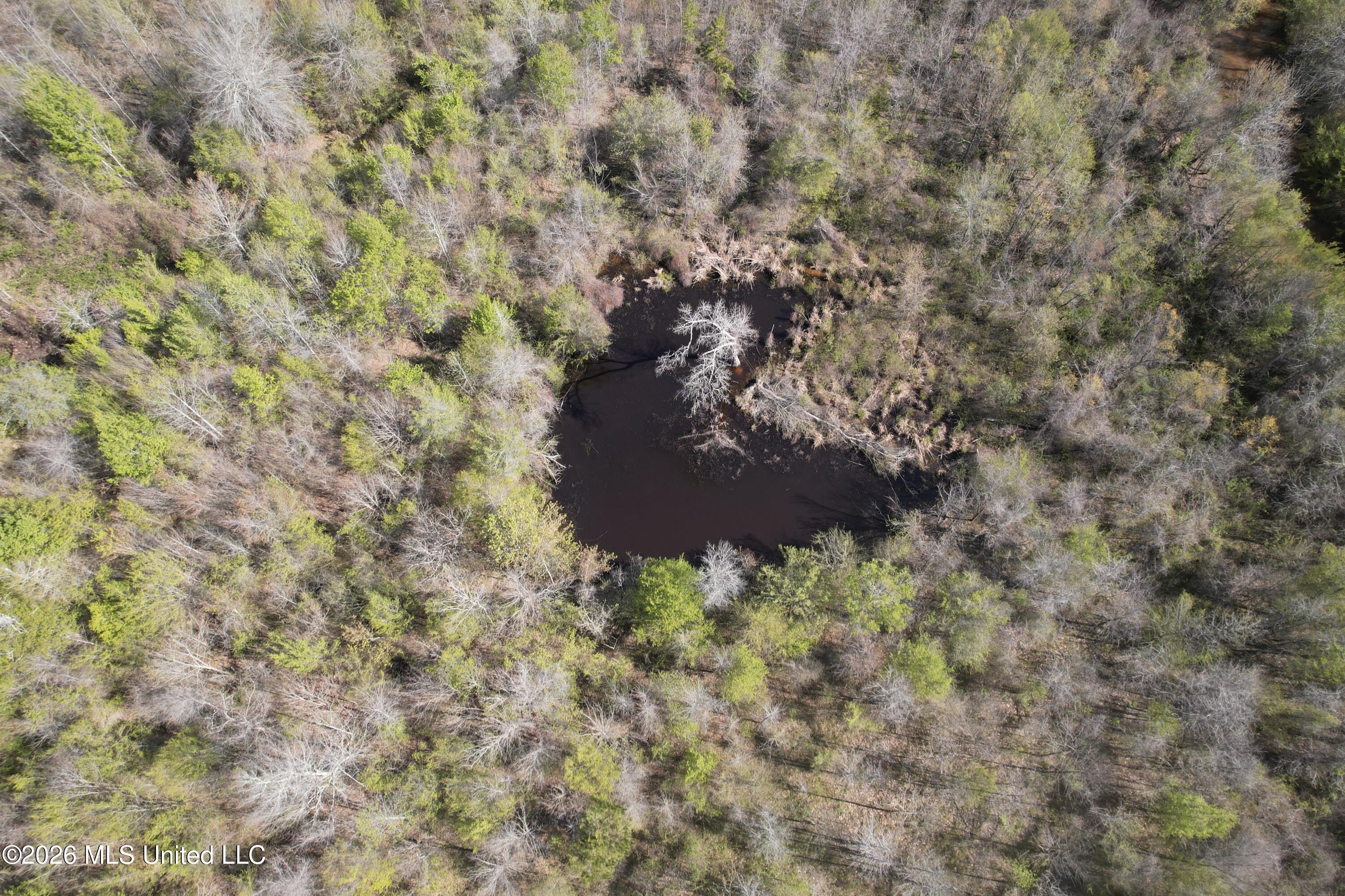 1711 Highway 82 Eupora, MS 39744 - Photo 15 of 76 DJI_0204