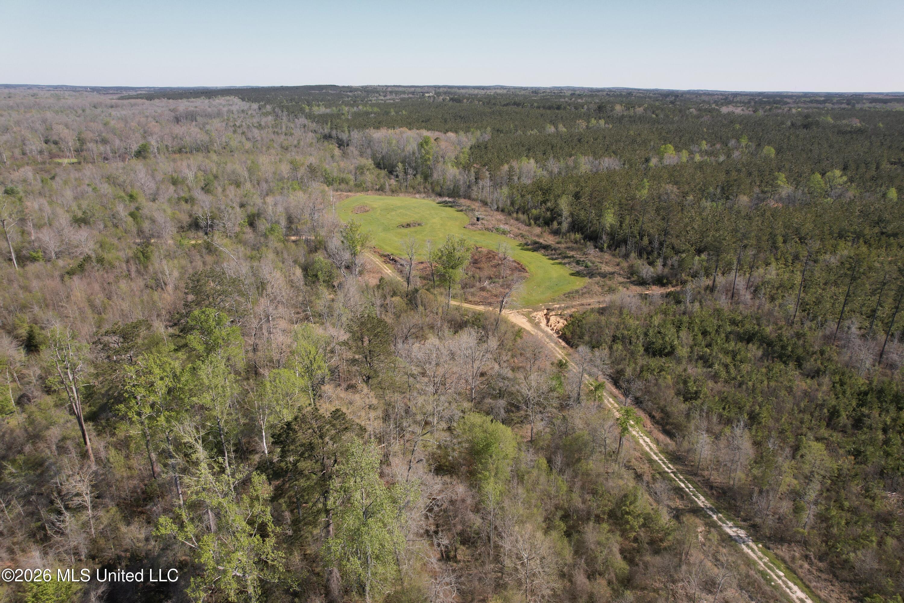 1711 Highway 82 Eupora, MS 39744 - Photo 16 of 76 DJI_0205