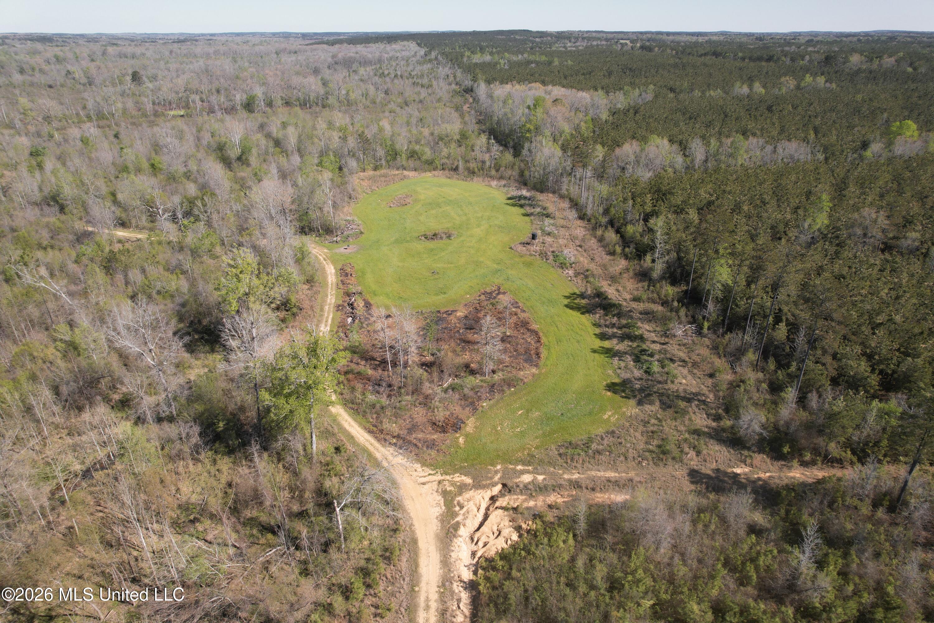 1711 Highway 82 Eupora, MS 39744 - Photo 17 of 76 DJI_0206