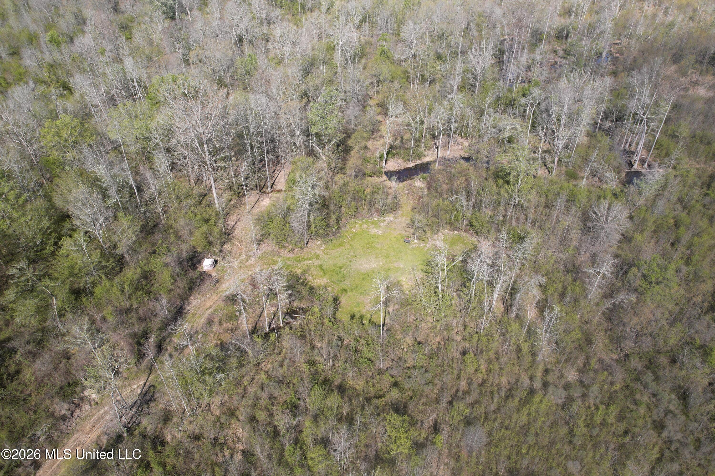 1711 Highway 82 Eupora, MS 39744 - Photo 24 of 76 DJI_0213