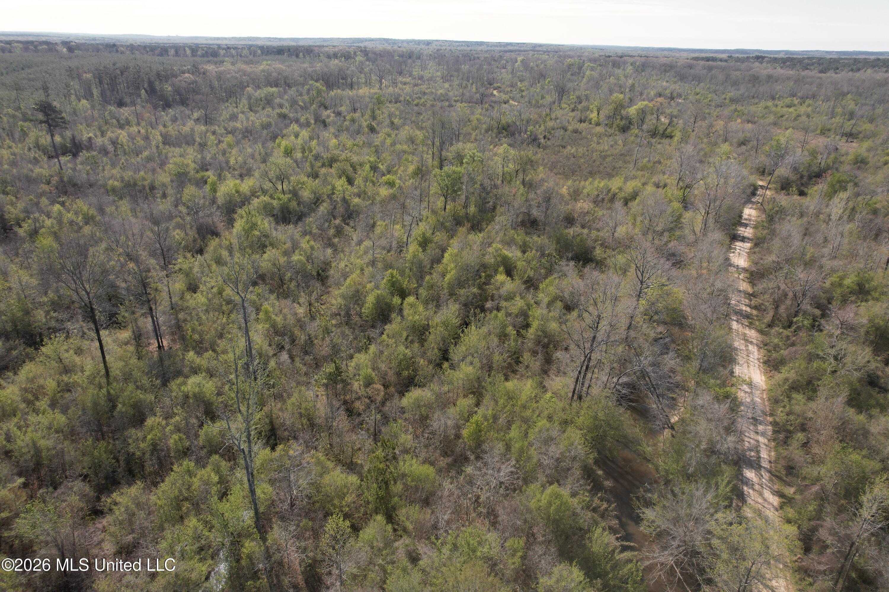 1711 Highway 82 Eupora, MS 39744 - Photo 25 of 76 DJI_0214