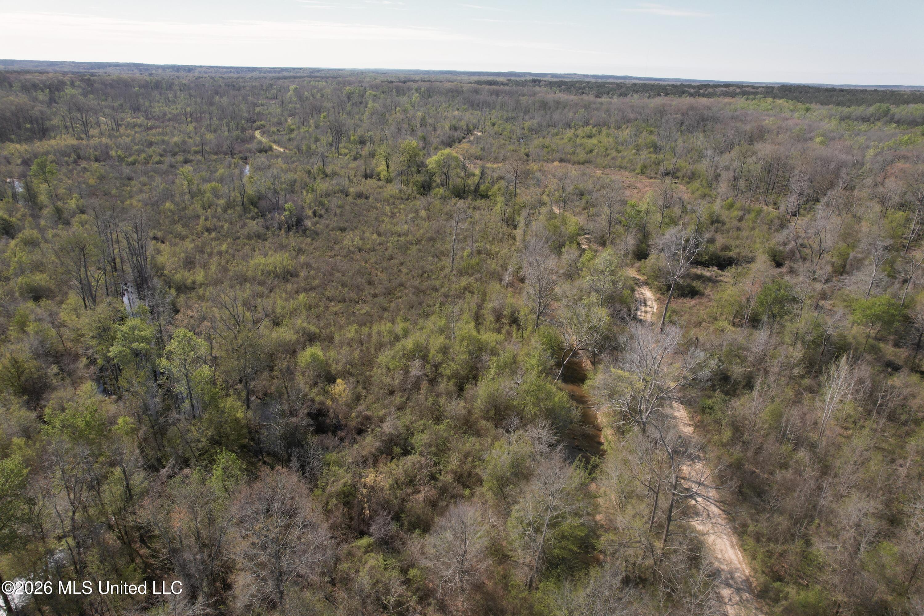 1711 Highway 82 Eupora, MS 39744 - Photo 26 of 76 DJI_0215