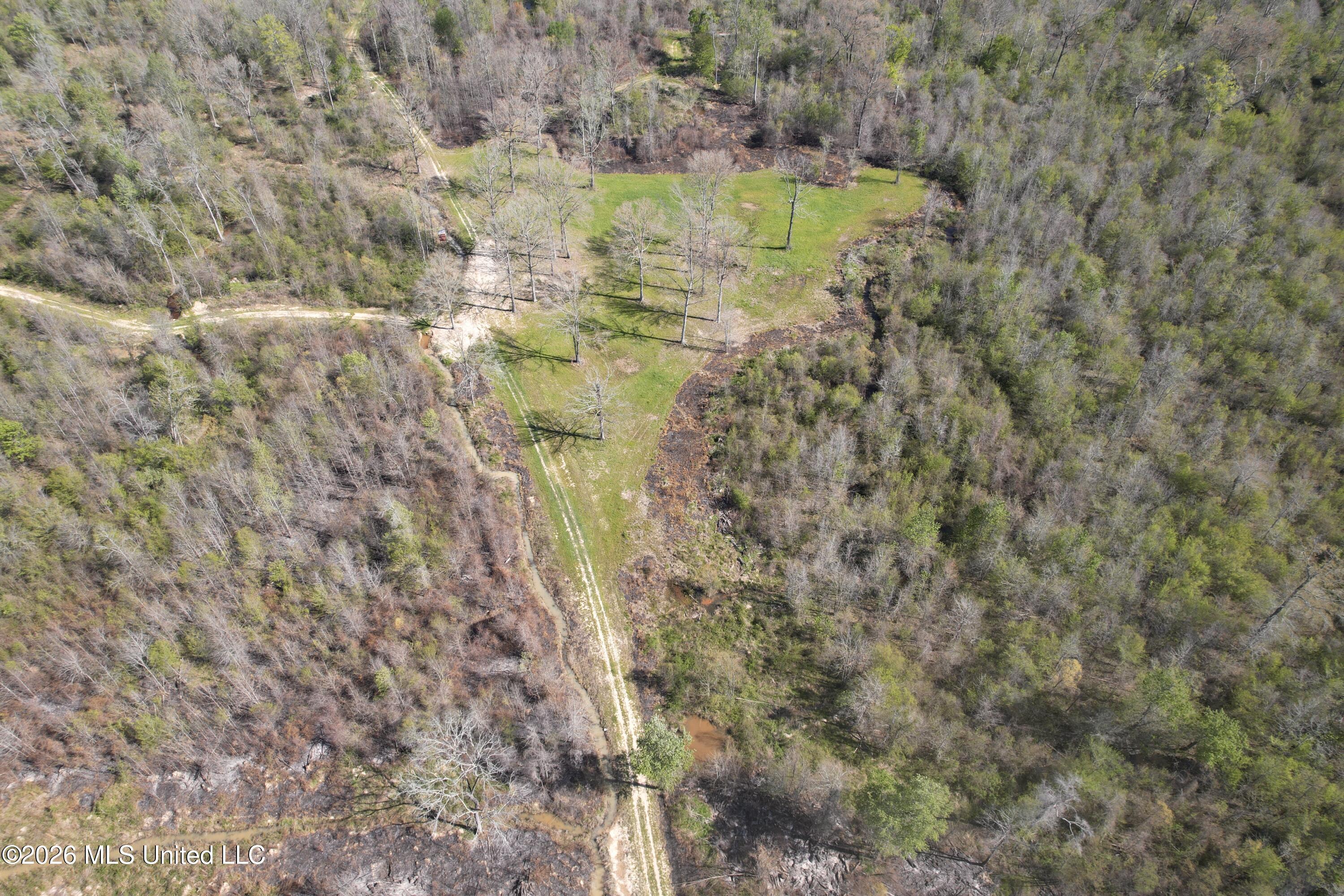 1711 Highway 82 Eupora, MS 39744 - Photo 34 of 76 DJI_0223