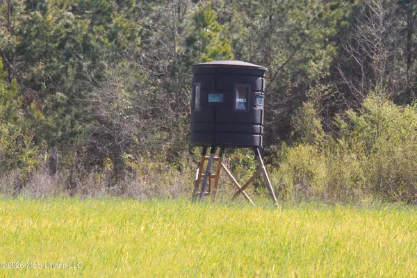 $1,750,000 | 1711 Highway 82, Eupora, MS 39744