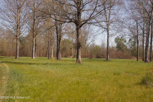 $1,750,000 | 1711 Highway 82, Eupora, MS 39744