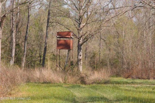 $1,750,000 | 1711 Highway 82, Eupora, MS 39744