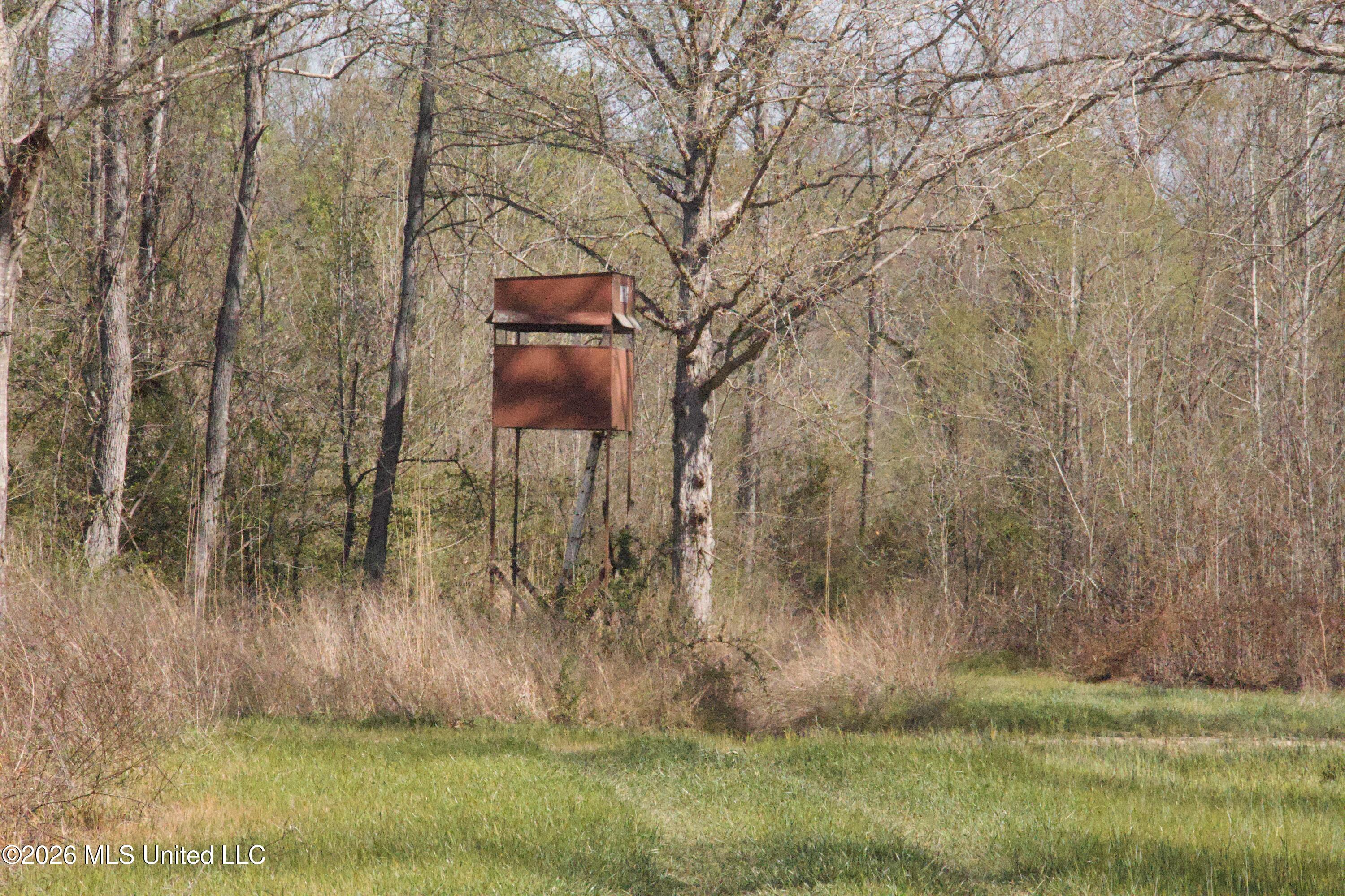 1711 Highway 82 Eupora, MS 39744 - Photo 45 of 76 IMG_0751