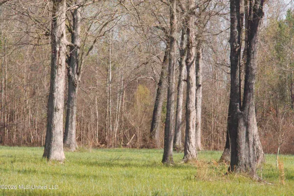 $1,750,000 | 1711 Highway 82, Eupora, MS 39744