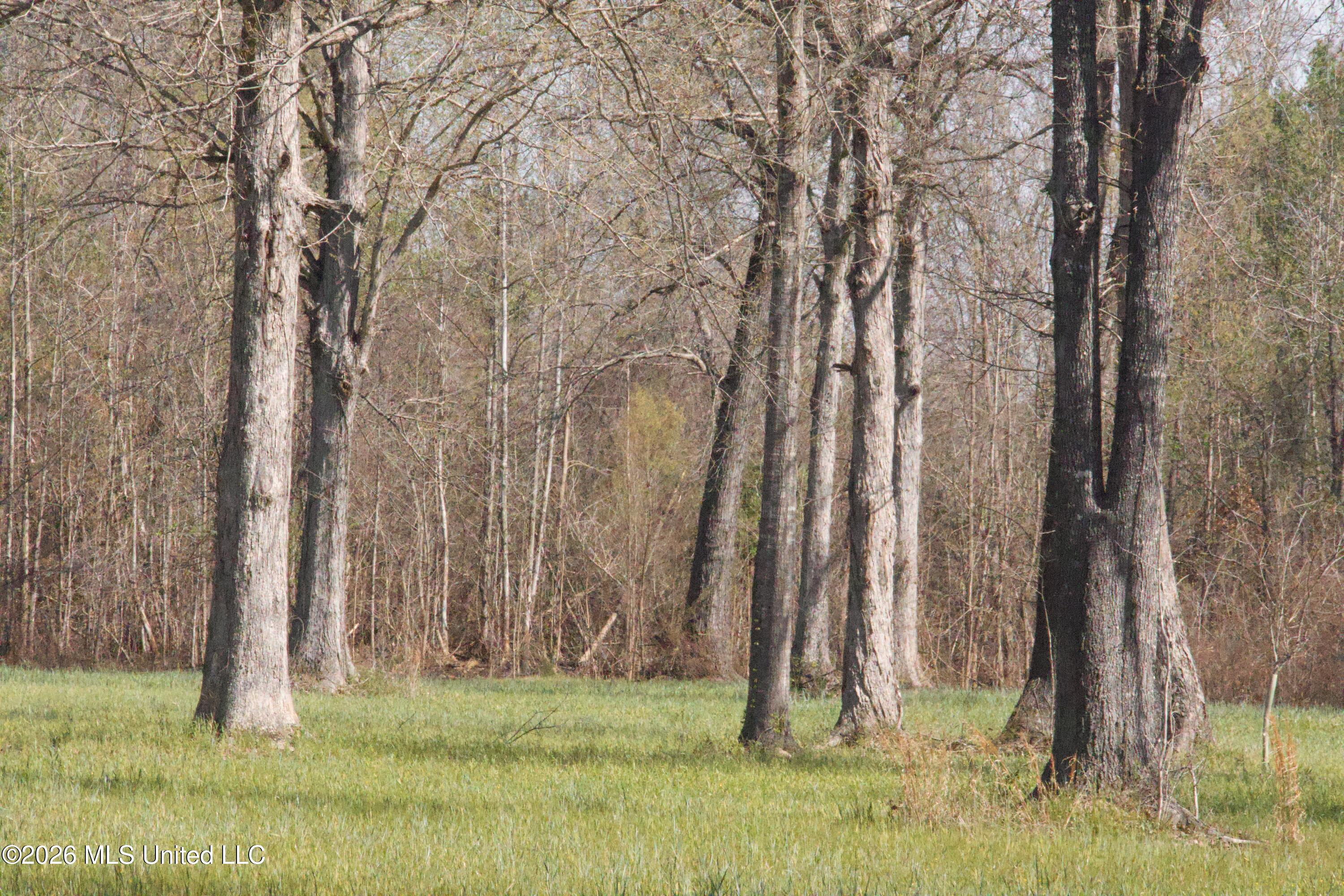 1711 Highway 82 Eupora, MS 39744 - Photo 46 of 76 IMG_0752