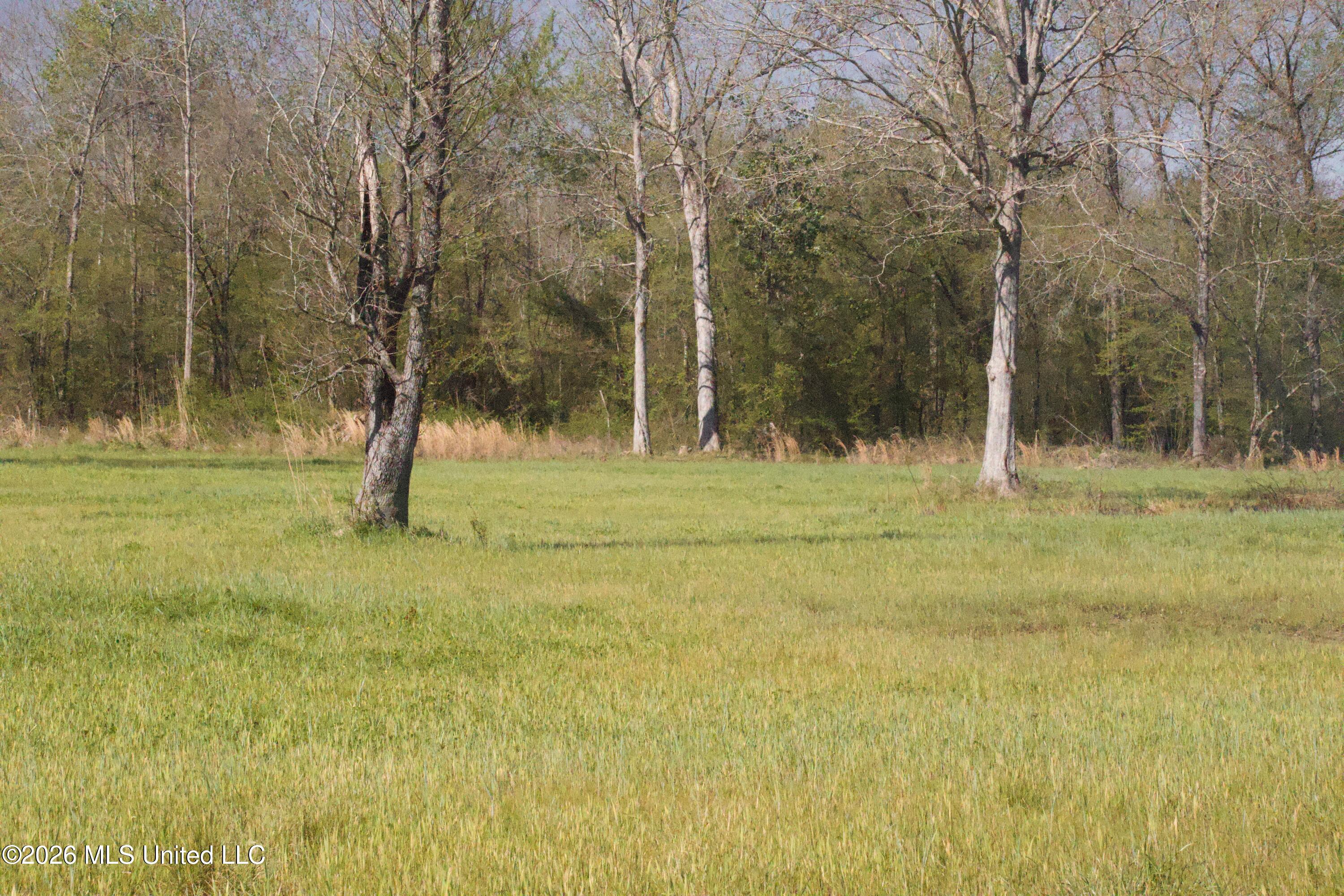 1711 Highway 82 Eupora, MS 39744 - Photo 48 of 76 IMG_0755