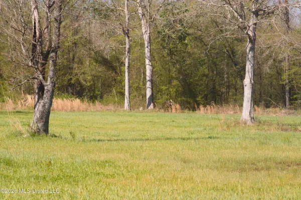 $1,750,000 | 1711 Highway 82, Eupora, MS 39744