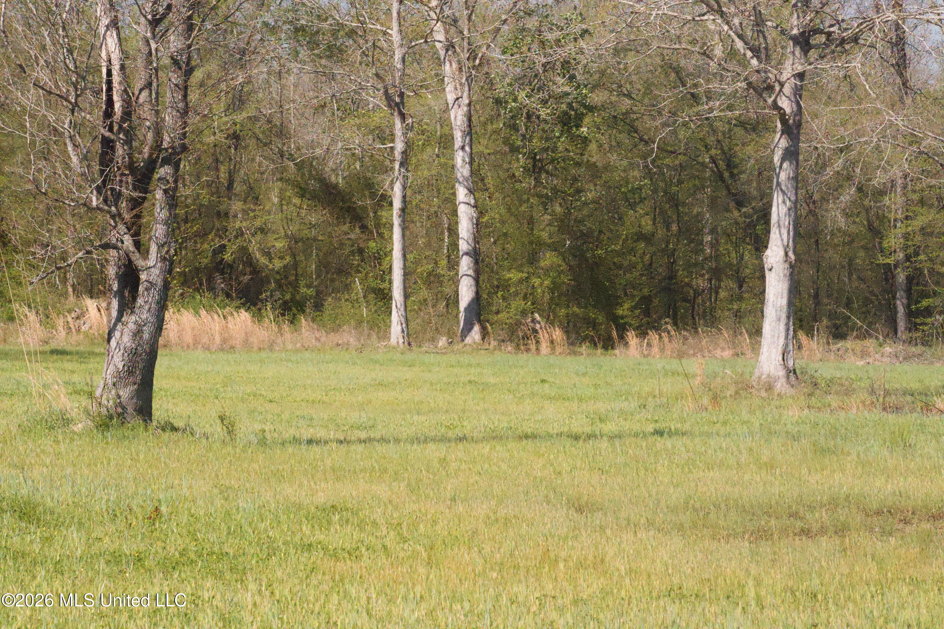 1711 Highway 82 Eupora, MS 39744 - Photo 49 of 76 IMG_0756