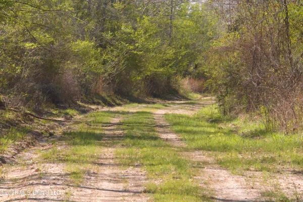 $1,750,000 | 1711 Highway 82, Eupora, MS 39744