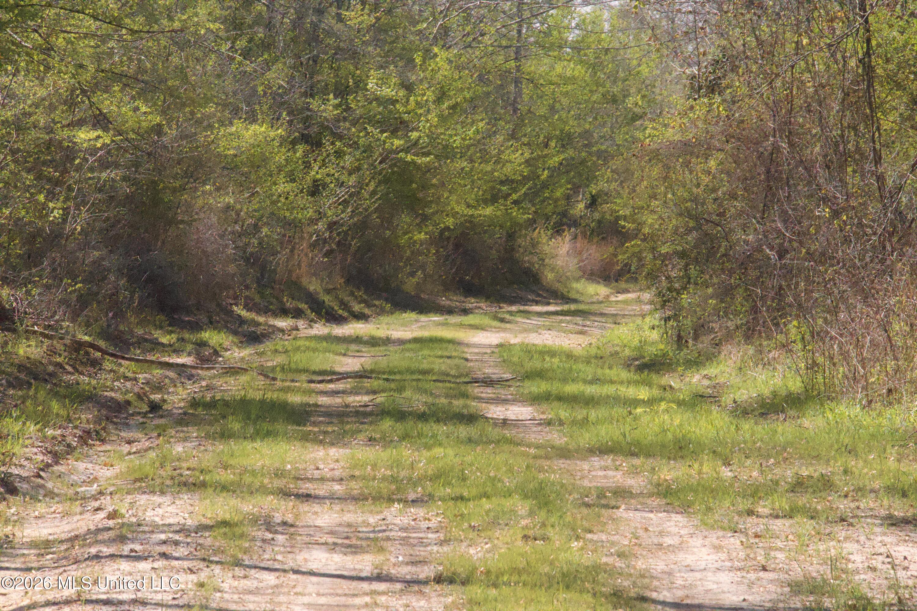 1711 Highway 82 Eupora, MS 39744 - Photo 50 of 76 IMG_0757