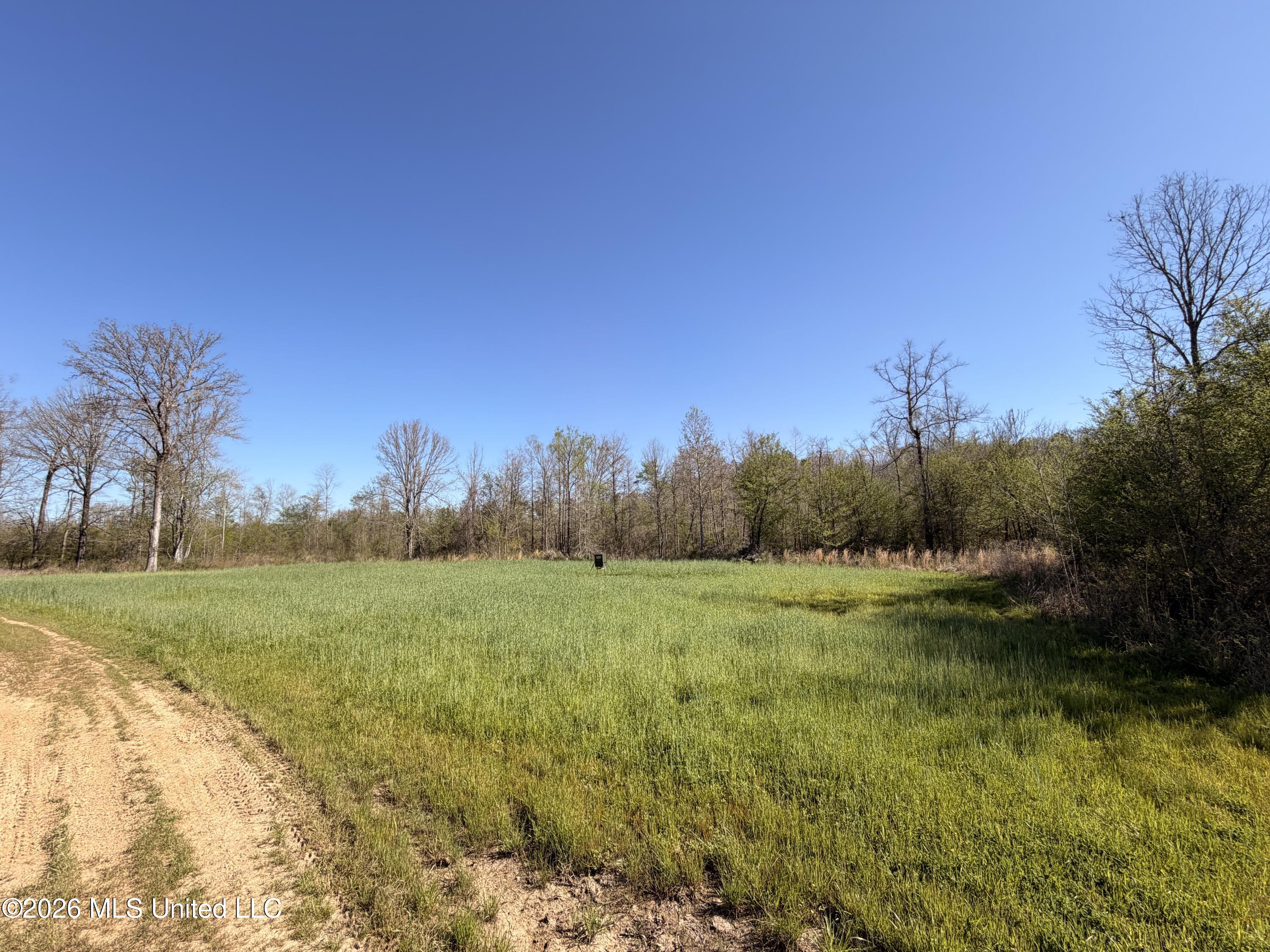 1711 Highway 82 Eupora, MS 39744 - Photo 53 of 76 IMG_3146