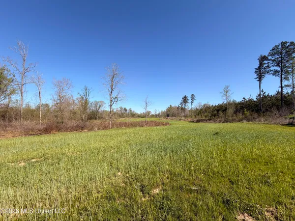 $1,750,000 | 1711 Highway 82, Eupora, MS 39744