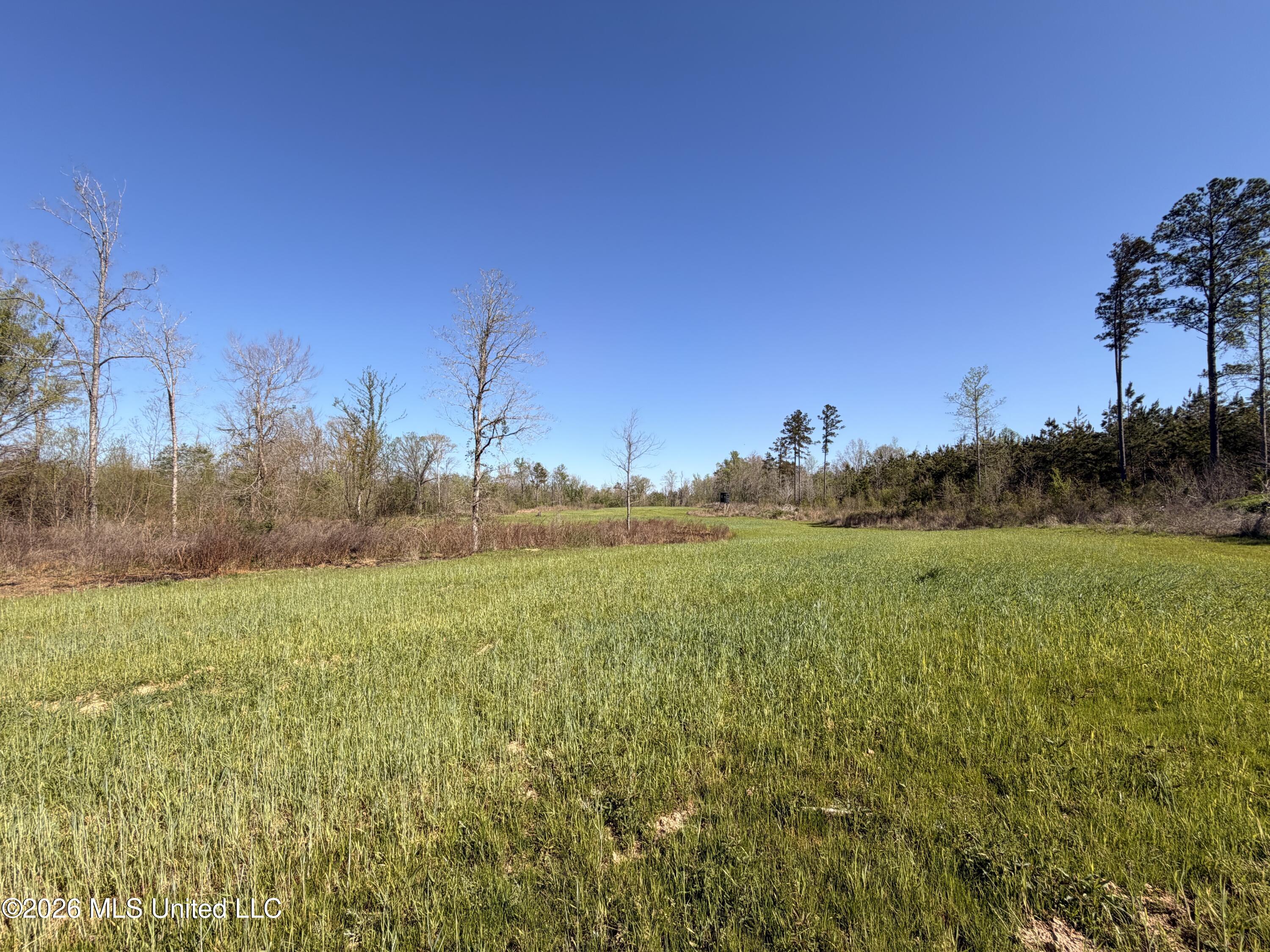 1711 Highway 82 Eupora, MS 39744 - Photo 54 of 76 IMG_3147