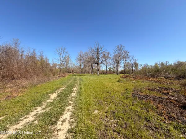 $1,750,000 | 1711 Highway 82, Eupora, MS 39744