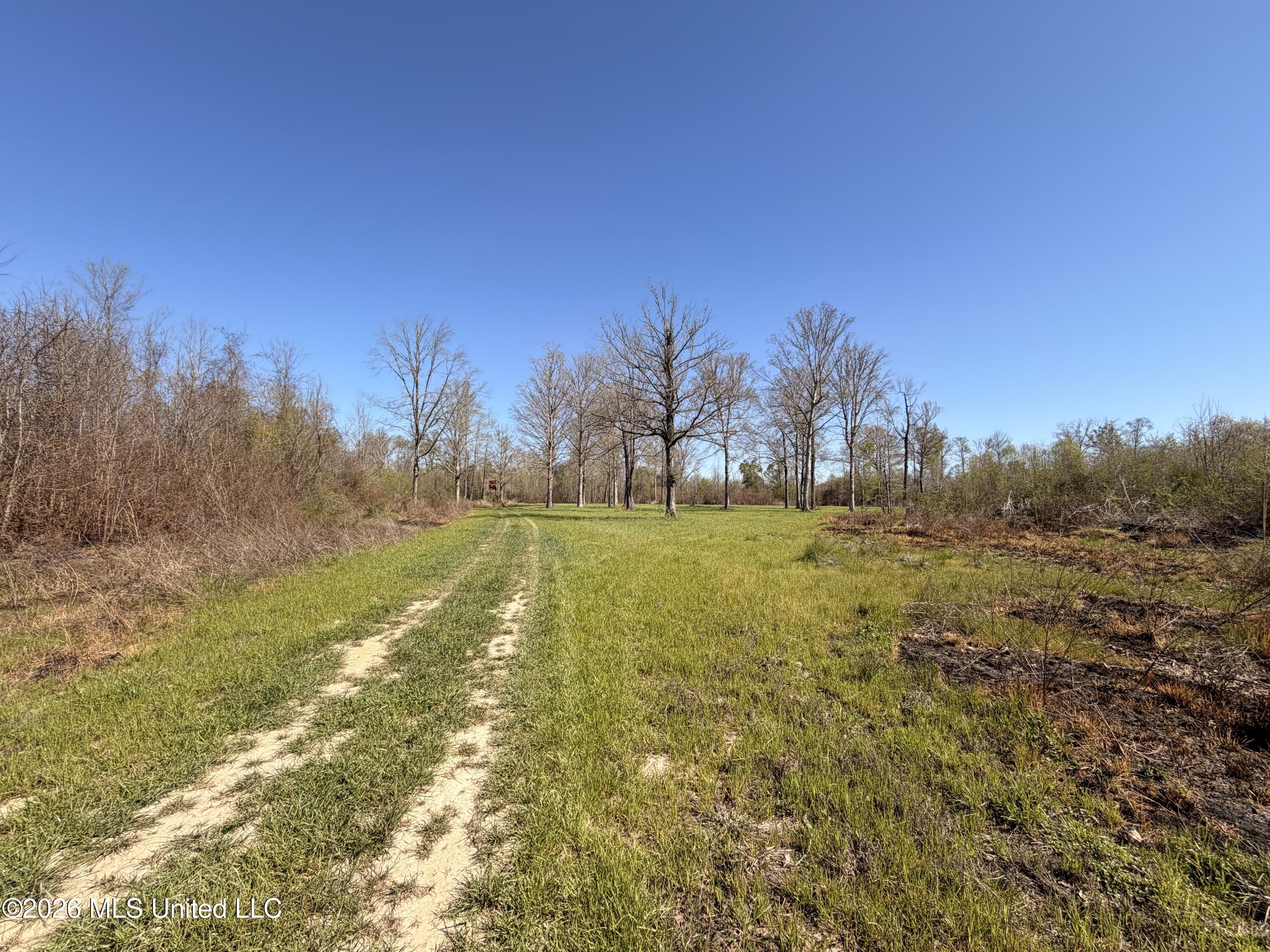 1711 Highway 82 Eupora, MS 39744 - Photo 55 of 76 IMG_3149