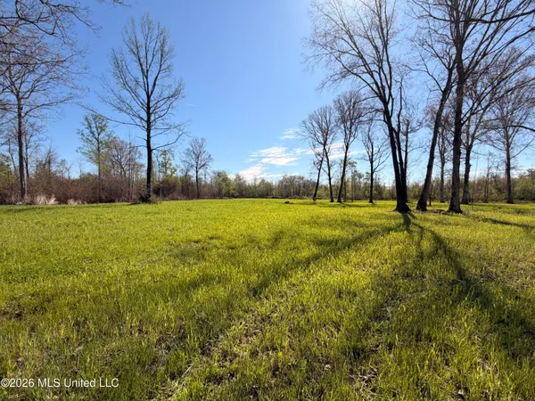 $1,750,000 | 1711 Highway 82, Eupora, MS 39744