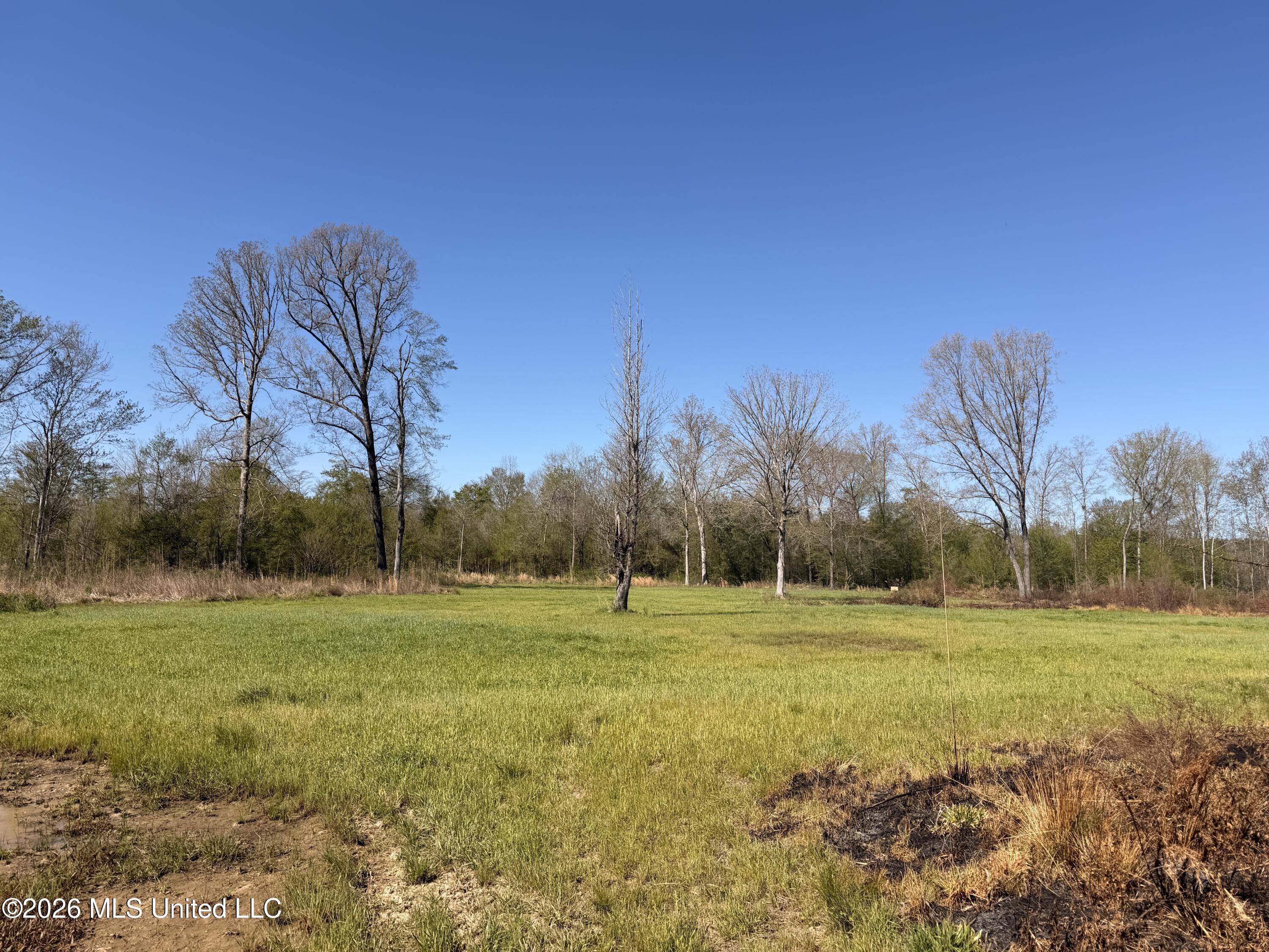 1711 Highway 82 Eupora, MS 39744 - Photo 57 of 76 IMG_3151