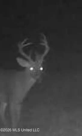 $1,750,000 | 1711 Highway 82, Eupora, MS 39744