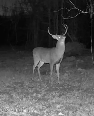 $1,750,000 | 1711 Highway 82, Eupora, MS 39744