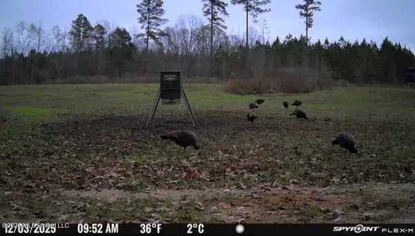 $1,750,000 | 1711 Highway 82, Eupora, MS 39744