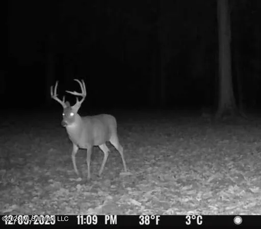 $1,750,000 | 1711 Highway 82, Eupora, MS 39744