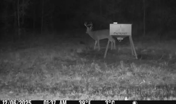 $1,750,000 | 1711 Highway 82, Eupora, MS 39744