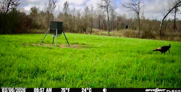 $1,750,000 | 1711 Highway 82, Eupora, MS 39744