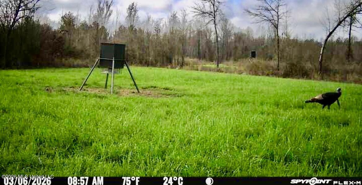 1711 Highway 82 Eupora, MS 39744 - Photo 65 of 76 IMG_2264