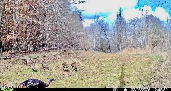 $1,750,000 | 1711 Highway 82, Eupora, MS 39744