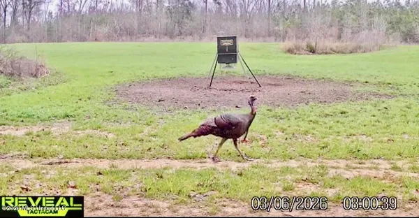 $1,750,000 | 1711 Highway 82, Eupora, MS 39744