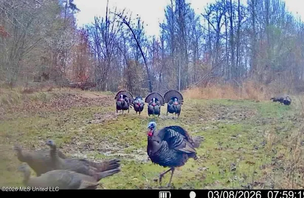 $1,750,000 | 1711 Highway 82, Eupora, MS 39744